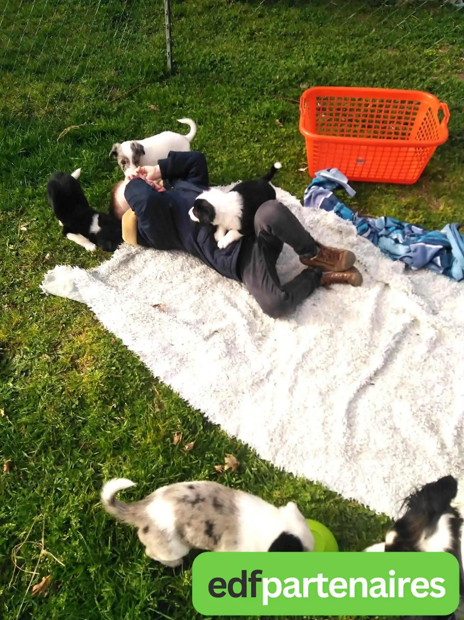 Montpon Menesplet Football Club - 24700 Ménesplet Montpon Menesplet Football Club - 24700 Ménesplet