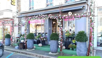 A fleur de pot - 79500 Melle A fleur de pot - 79500 Melle