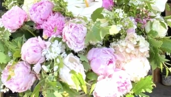 A Fleur de Pot Angoulême - Angoulême
