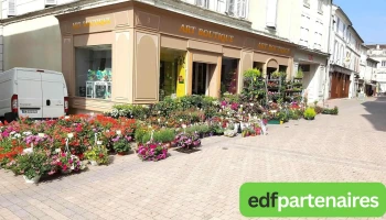 Art Boutique, Artisan Fleuriste Jarnac - 16200 Jarnac