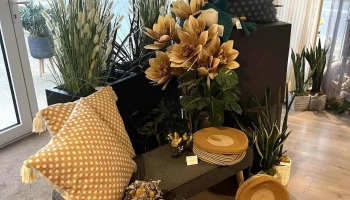 Arums et Senteurs - 86600 Lusignan