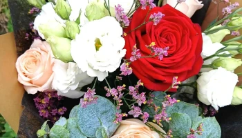 Atelier des papillons - 64260 Louvie-Juzon