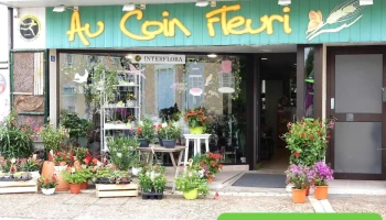 Au Coin Fleuri - 24190 Neuvic