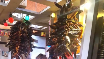Au comptoir de Sophie, olives et tapenades - Andernos-Les-Bains