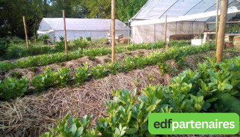 Au Potager De Sigon - Migné-Auxances