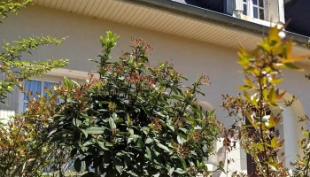 Berthou Immobilier - Saint-Sornin-Lavolps
