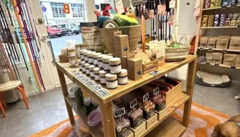 Binoome - magasin pour chiens à Arcachon - Arcachon