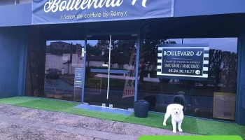 Boulevard 47 - 47800 Miramont-De-Guyenne