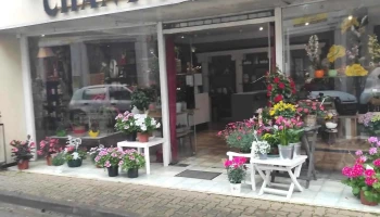 Chanta'fleurs - 64190 Navarrenx Chanta'fleurs - 64190 Navarrenx