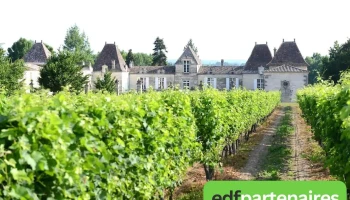 Château d'Abzac - Abzac