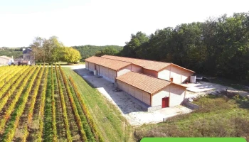 Château Montdoyen - Vignobles J.p. Hembise - 24240 Monbazillac
