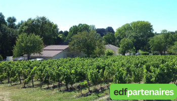 Château St-Ferdinand - vins biologiques - 33570 Lussac