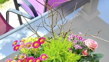 Côté Art Angoulême | Fleuriste Angoulême - Angoulême
