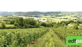 Coteaux de la Vézère - Allassac