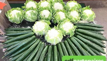 Cours des Halles Maison Pascarel - Objat