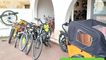 Cycles Bruges - Magasin Vélo Bordeaux - Réparation Vélo Bordeaux - Location Vélo Bordeaux - Bruges
