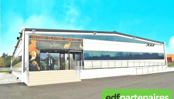 Dandieu Sarl - 40700 Hagetmau