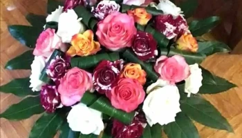 Decourt Celine l l'aphelandra - 17230 Marans