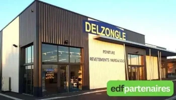 Delzongle Ambarès - Ambarès-Et-Lagrave