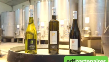 Domaine de la Rôtisserie - 86380 Jaunay-Marigny