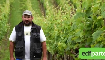 Domaine du lisé - 40290 Habas