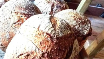 Eirl Pain de Dilay - Ardin
