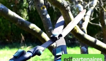 Entreprise Steinbach David Élagage: Élagueur Abattage d'arbres Taille haies Entretien espaces verts 64 - 64450 Navailles-Angos
