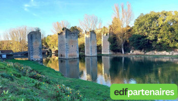 Étang de Lussac-les-Châteaux - 86320 Lussac-Les-Châteaux
