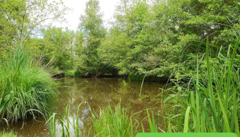 Etang de Prignac et Marcamp - France