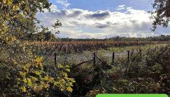 Ets Carles - 33290 Ludon-Médoc
