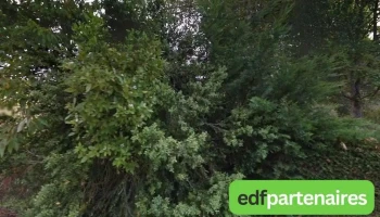 Eymery Philippe - France Eymery Philippe - France