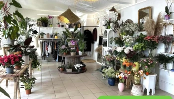 Fleur de Mooneya - 33123 Le Verdon-Sur-Mer