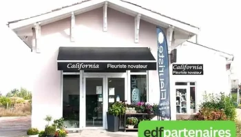 Fleuriste California - 33190 Gironde-Sur-Dropt