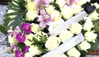 fleurs et vins - Confolens