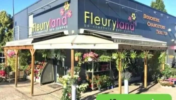 Fleuryland Artisan Fleuriste - 47510 Foulayronnes