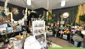 Gam Fleurs Chlorisse - 33850 Léognan