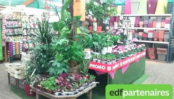 Gamm Vert - 16110 La Rochefoucauld-En-Angoumois