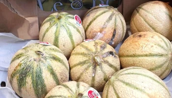 Intermarché Super Bidart - Bidart