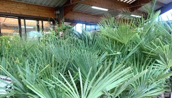 Jardiland - Châtellerault