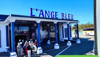 L'Ange Bleu - 33240 Gauriaguet