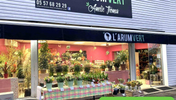 L'Arum Vert - 33710 Prignac-Et-Marcamps