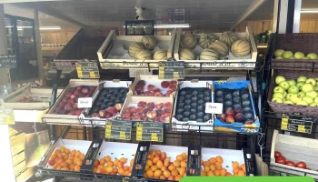 La Cabane de Fruits et Légumes de Cassy - 33138 Lanton La Cabane de Fruits et Légumes de Cassy - 33138 Lanton