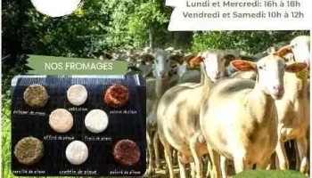La fromagerie de la dame de pique - 87130 Roziers-Saint-Georges