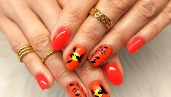 La Palette de Juliette - 79120 Lezay