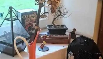 La Petite Boutique 69 Neutron's Ring - Val De Virvée