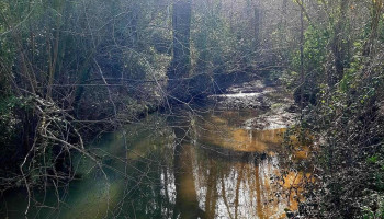 Le Deux - France Le Deux - France