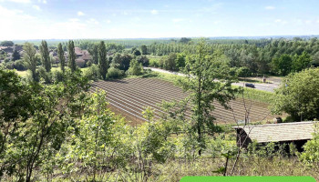Le Potager du Dropt - 33190 Casseuil