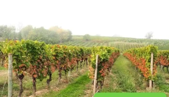 Les avinturiers - France