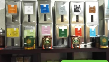 Les délices d'Alia - 86170 Neuville-De-Poitou