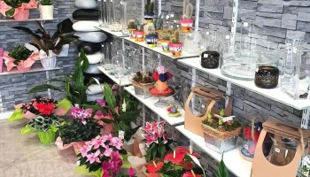 Les Fleurs de Vauban - Rue Jean Brun